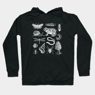 Vintage Goblincore Biology Frogs, Snails, Moths, Mushrooms Hoodie